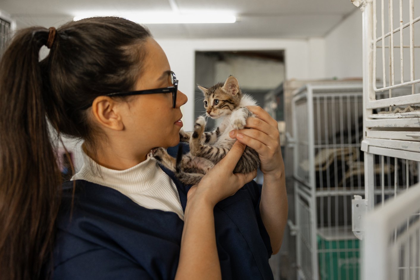 Animal Shelter Volunteer Taking Care of a Cat 